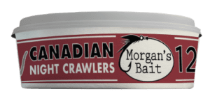 Canadian Night Crawlers - Image 1